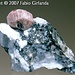 <b>Zircone - ZrSiO4<br />Tra il 1997 e il 1998 nelle Centovalli il mineralogista Fabio Girlanda ha scoperto due affioramenti contenenti grandi cristalli di zircone. Il ritrovamento è stato presentato in anteprima nell’edizione di ottobre 2007 della prestigiosa rivista mineralogica tedesca “Lapis” . Si tratta di uno dei più importanti ritrovamenti di questo minerale a livello mondiale!</b>