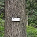 Bäume sind häufig angeschrieben.