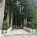 Ichino-hashi: Der Eingang in den Friedhof Okuno-in, durch den ein 1,6 km langer Weg bis zum Mausoleum von Koibo Daishi führt.