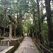 Der gepflasterte Weg, der 1.6 km durch den Friedhof Okuno-in führt.
