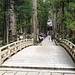 Die Brücke führt ins Mausoleum von Kobo Daishi (resp. Kukai). Dort ist Fotografieren verboten.
