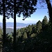 Aussicht (N) vom Mt. Bentendake.