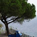 Ein oft anzutreffendes Fortbewegungsmittel auf Ischia, welches den Weg überall hin findet.