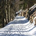 Für was habe ich meine Schneeschuhe mitgenommen?<br /><br />Auf dem Bergweg unterhalb der Juraalp Pralioux Dessus (1309m) - von mir aus könnte es so den ganzen Winter durch bleiben...