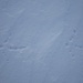 Spuren im Schnee - leichtfüssigere ...