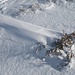 vom Wind geformte Skulpturen aus Schnee und verdorrtem Blattwerk