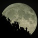 Im Abstieg: Der Mond mit den Latschen der Hochblasse / In discesa: la luna con i pini nani della Hochblasse