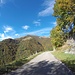 <b>Il tratto successivo, dopo il Pian dell'Alpe, su una bella strada asfaltata con i “cigli indifesi” è un relax: sole caldo e belle vedute fino al villaggio di Erbonne. </b>