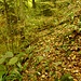 Typischer "Weg"verlauf.