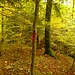 Markierung.