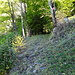 Wanderweg noch schön breit