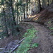 schöner Weg nach Molare