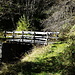 die einzige Brücke
