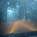 verso il Vicere', un clima irreale tra la nebbia nel bosco..... 