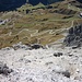 Gipfelfeld Cirspitze
