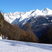 Im Rhonetal Gärsthorn