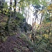 Abstieg in das Donautal