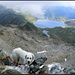 Cristallina, auf dem Gipfel, Blick zum Lago del Narèt, zu dem ich dann absteigen werde.
