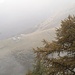 dalla Capanna Borgna verso il Sassello : vista sull'Alpe Mognora - Corte di Fondo