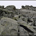 Abstieg, Blick zurück zum Gipfel.