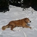 Luca genießt den Schnee