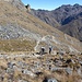 Il sentiero pre-inca che esce dalla valle dell'Alpamayo