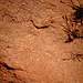 Particolare delle arenarie di Uluru.