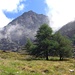 unweit der Abzweigung Europahütte - Domhütte