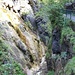 oberhalb der Gießenbachklamm