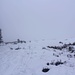 Die letzten 30 Höhenmeter zum Gipfel vom Herzogenhorn (1415,2m) sind baumlos. Das Warmwetter hat in den letzten Tagen viel von Schnee schmelzen lassen, auch heute regnet es und Nebel zieht um den Gipfel.