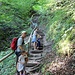 bergwärts