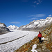 Glacier d'Aletsch, who else ?