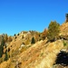 Herbstfarben im Aufstieg zur Cap Albagno
