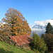 Herbstimpression