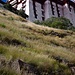 Die Nordseite des Potala-Palastes ist grasbewachsen.