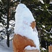 Lü im Val Müstair - Bärenweg ist bärenstark, auch mit weisser Schneehaube