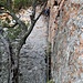 Erster Teil der 3. SL in einer glatten Verschneidung, danach geht es eine senkrechte bis gering überhängende Wand rechts nach oben.