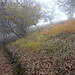 Aufstieg im Nebel zum Monte Boglia - kommt die Sonne doch noch?