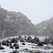 Kurz vor Erreichen des Felsriegels, durch den die Zahme Gocht (Einschnitt in der rechten Bildhälfte) auf den Alp Sigel führt