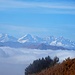 Endlich auf dem Monte Boglia für kurze Zeit über dem Nebel mit herrlicher Sicht in die Walliser Viertausender