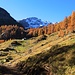 L'Alpe di Sfille, i pochi escursionisti incontrati si dirigono tutti verso il Lago di Sfille, vista la stagione e l'orientamento una scelta decisamente poco felice.