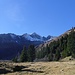 Rückblick von der Sardona-Alp