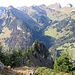 Sefenenstock in der Bildmitte