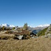 Alpe Angeloga