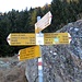 <b>Tic Cattaneo </b>(baite a pochi minuti dal parcheggio), bivio :
a dx per Carì (sentiero basso, detto Sentiero dei Monti)
a sx per Somprei (sentiero dei Monti)
verso monte per Passo Predelp