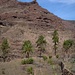 typisches Gelände auf Gran Canaria