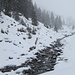 der verschneite Schanielabach - das einzige Foto der Tour; sonst war der Schneefall zu dicht.