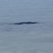 Einsame Insel im Nebelmeer