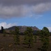 Blick nach Norden Richtung Montana de Tauro,er selbst liegt hinter dem bewaldeten Hügel