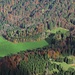 Herbstwald am Vogelherdweg / bosco autunnale